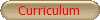 Curriculum